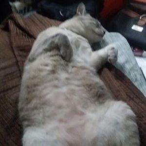 Meet your Posher, Timothy